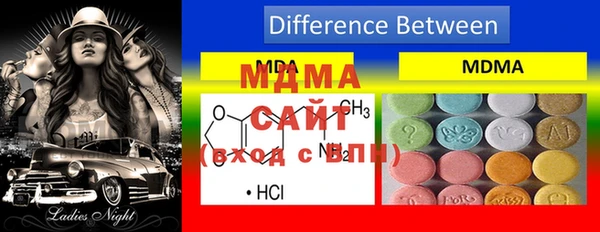 стаф Инта