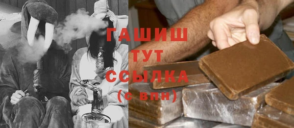 стаф Инта