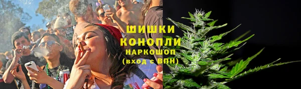 стаф Инта