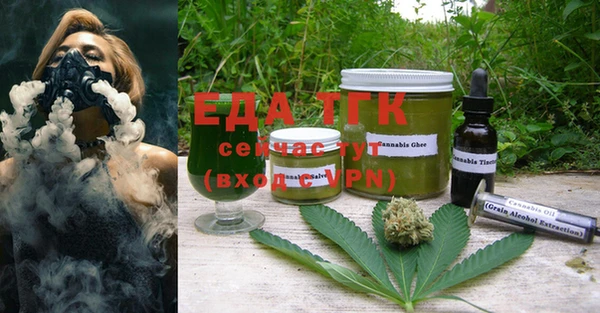 стаф Инта