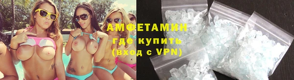 стаф Инта
