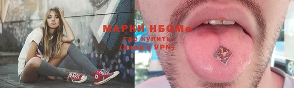стаф Инта