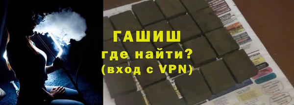 стаф Инта