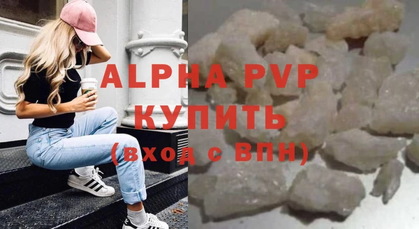 стаф Инта