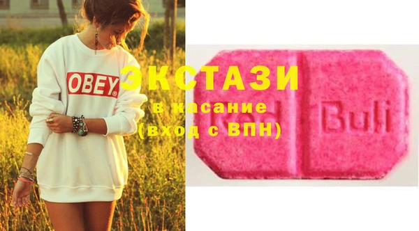стаф Инта